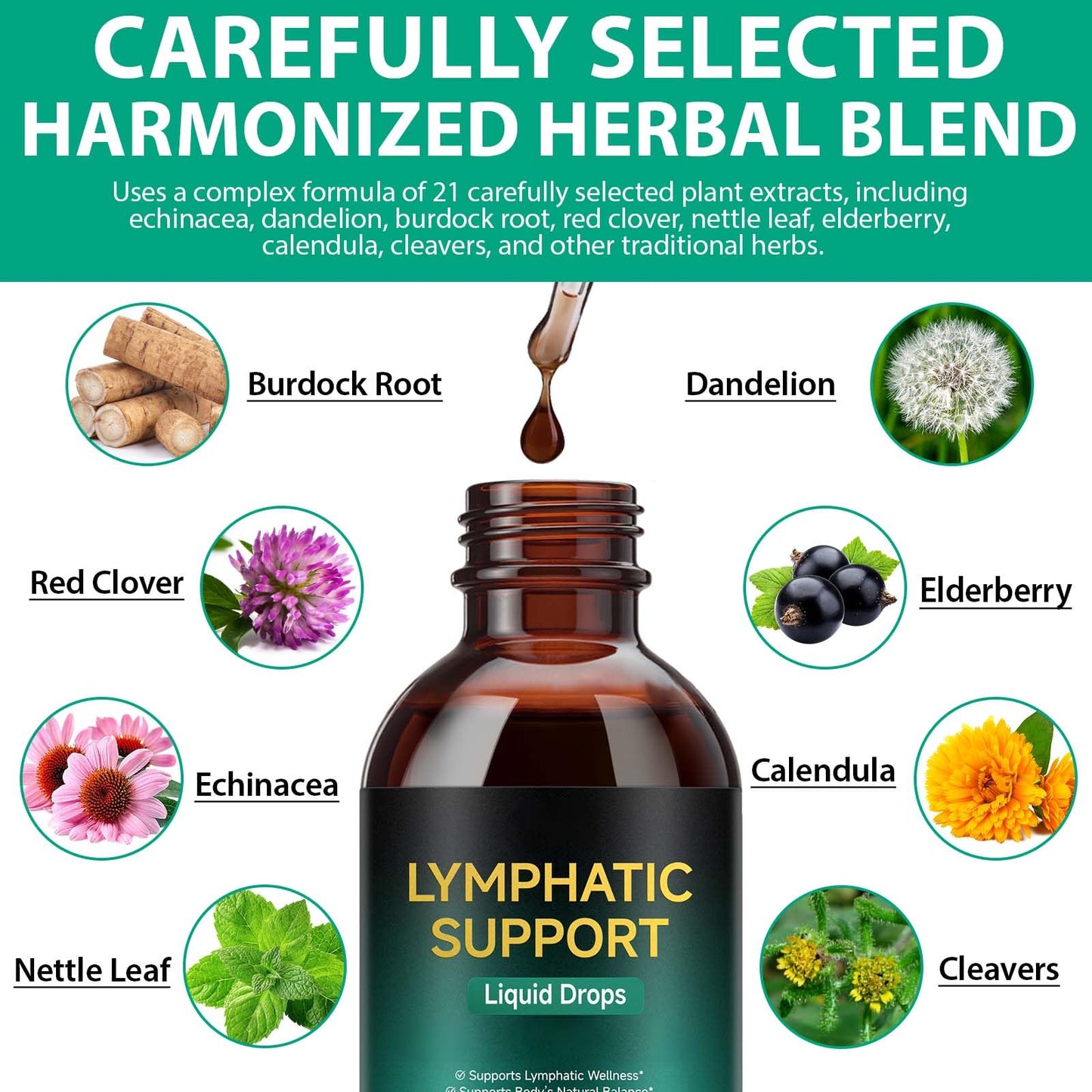 Lymphatic Drainage Drops, Support Supplement with Echinacea, Dandelion, Elderberry, Cleavers, Astragalus, Burdock & More, 2 FL OZ - Natural Lymphatic Cleanse & Immune Support VOGSIG buy supplements Au