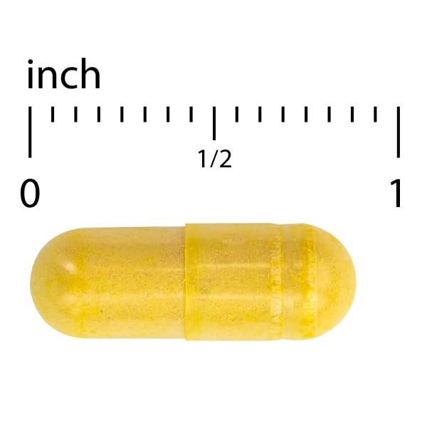 Terry Naturally Arthocin - Boswellia Serrata Capsules with Devil's Claw & Curcumin - Supplement to Support Joint & Spine Health - Herbal Supplement Aids Comfort & Absorption - 60 Capsules Terry Naturally Au supplements