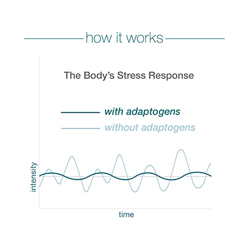 Youtheory ashwagandha Capsule, Helps Maintain Normal cortisol Level, Helps Reduce Youtheory Au supplements