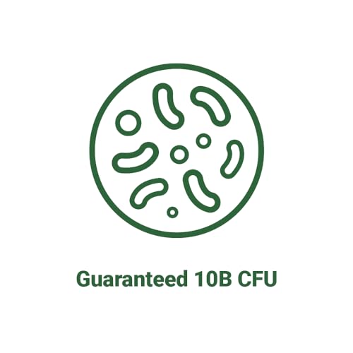 AceBiome BNRThin S30, Lactobacillus Gasseri BNR17, 10 Billion CFU Guaranteed AceBiome Au supplements