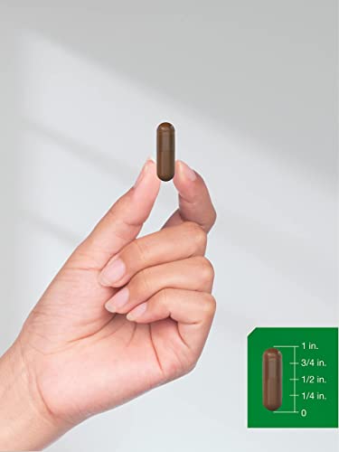 Pine Bark Extract | 6000 mg | 180 Capsules | Standardized to Contain 380 mg Proanthocyan Horbäach Au supplements