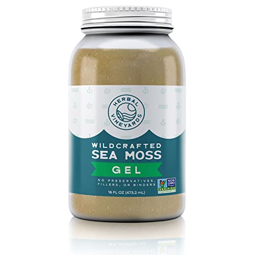 Herbal Vineyards Natural Organic Wildcrafted Gold Raw Sea Moss Gel for Immune Support Herbal Vineyards Au supplements
