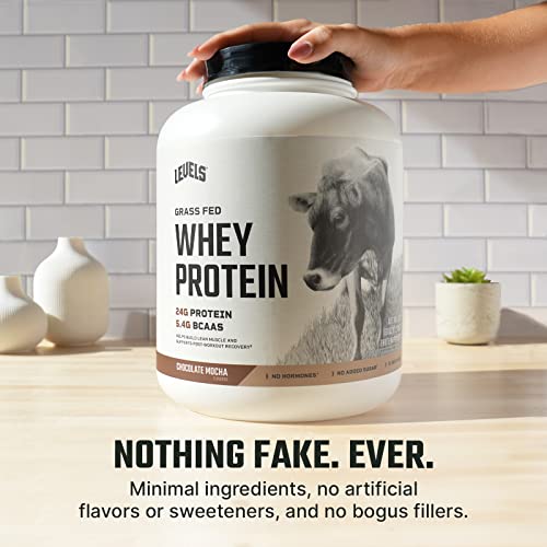 Levels Grass Fed 100% Whey Protein, No Hormones, Chocolate Mocha, 5LB Levels Nutrition Au supplements