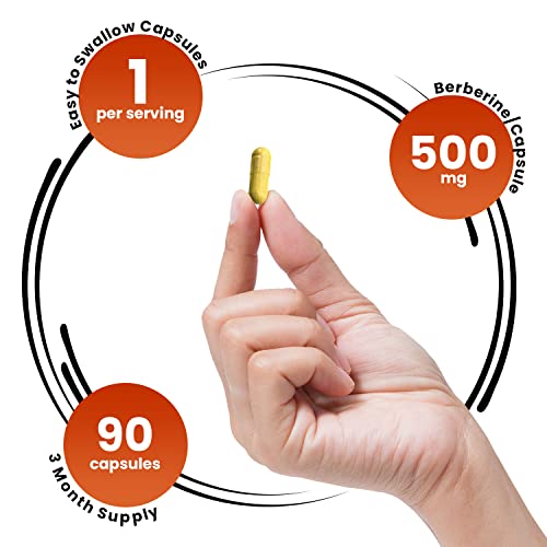 GENEX Berberine HCl 500mg (90 Capsules) | Powerful AMPK Activator, Supports Heart Genex Formulas Au supplements