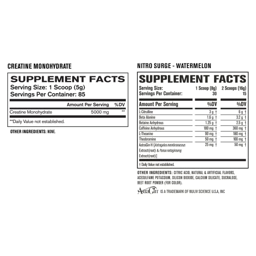 Nitrosurge Pre-Workout & Creatine Monohydrate - Pre Workout Powder With Creatine Jacked Factory Au supplements