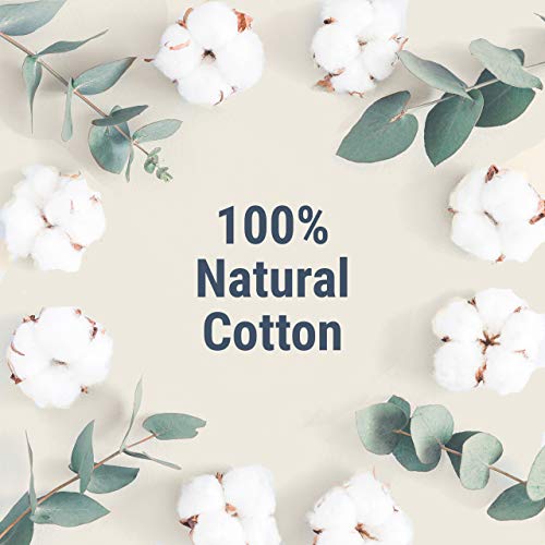 Veeda 100% Natural Cotton Applicator Free Tampons, 16 Count Super Absorbency unscented Veeda Au supplements