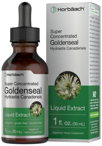 Goldenseal Root Extract Liquid | 1 fl oz Tincture | Super Concentrated | Alcohol Free Horbäach Au supplements