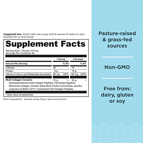 Collagen Powder Protein by Ancient Nutrition, Multi Collagen Vanilla Protein Powder Ancient Nutrition Au supplements