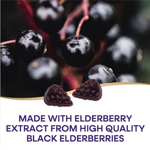 Nature's Way Sambucus Elderberry Immune Gummies, Daily Immune Support Nature's Way Au supplements