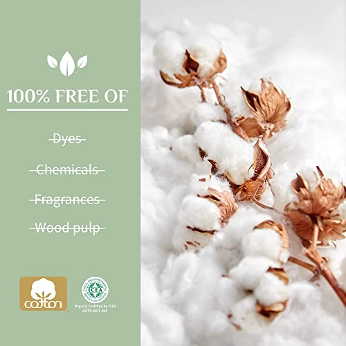 Organyc 100% Certified Organic Cotton Folded Panty Liner, Ultra Thin, Light Flow, 24 Count Organyc Au supplements