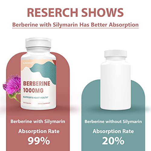 KoNefancy Berberine 1000mg with Silymarin,High Absorption Berberine HCL Supplements KoNefancy Au supplements