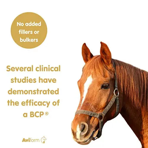 Aviform SUPPLEAZE PROGEN Horse Joint Supplement with Hydrolysed Collagen 1kg Aviform uk supplements