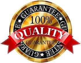 Nitric Oxide powder with L-arginine and L-glutamine - Nitric Oxide Pre-Workout Booster VIP VITAMINS Au supplements
