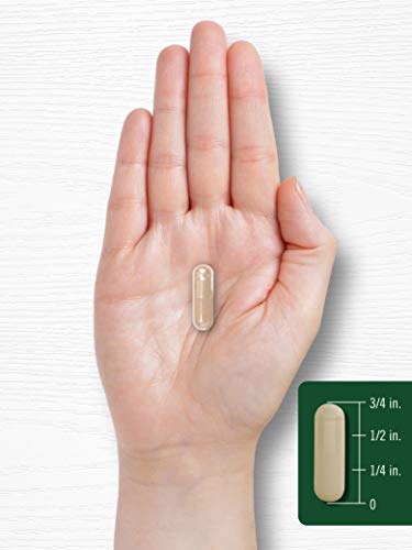 Carlyle Kudzu Root | 100 Extract Capsules | Non-GMO and Gluten Free Formula Carlyle Au supplements
