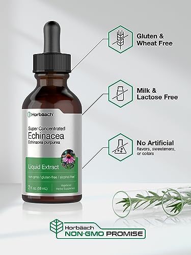 Echinacea Drops Liquid Extract | 2 fl oz | Super Concentrated Tincture | Alcohol Free Horbäach Au supplements