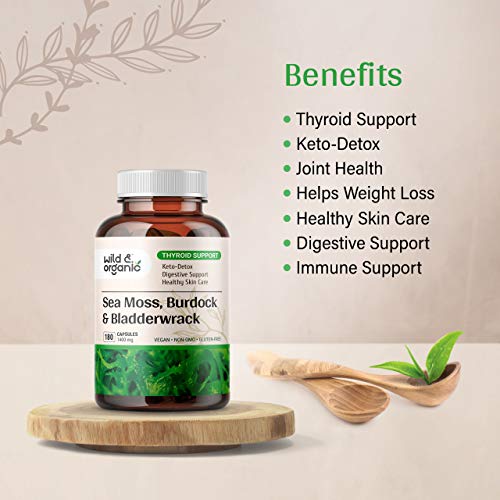 Sea Moss Capsules - 180 Caps Wildcrafted Irish Moss, Burdock Root & Bladderwrack Wild & Organic Au supplements
