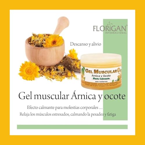 Arnica and Ocote Muscle Gel 350grs. Florigan Au supplements