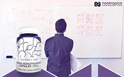 Nootropics Depot Uridine Monophosphate Capsules | Disodium Salt (60 Count) Cognitive Enhancer* | Nootropic | Choline Precursor Nootropics Depot Au supplements