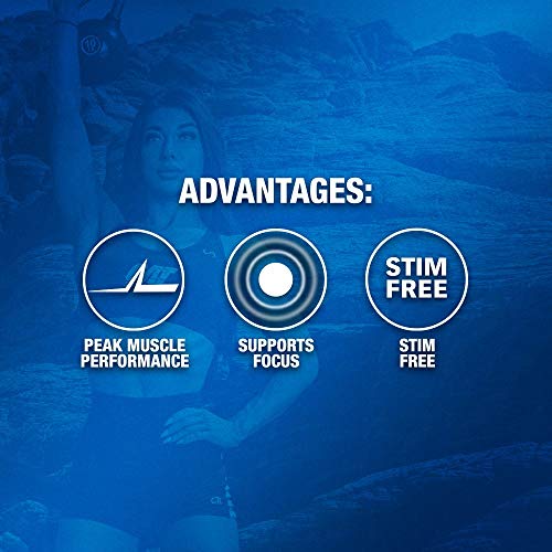 GAT PMP (Peak Muscle Performance), Next Generation Pre Workout Powder for Intense GAT SPORT Au supplements