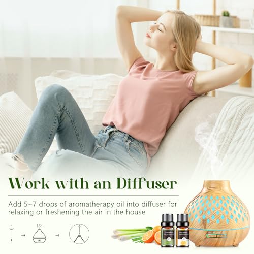 Essential Oils Set - 12 Pcs Aromatherapy Essential Oil Kit for Diffuser, Humidifier, Aromatherapy, Massage Aeshory Au supplements