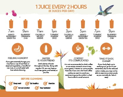 LEMONKIND 3-Day PROTEIN Juice Cleanse – High Protein Detox to Boost LEMONKIND Au supplements