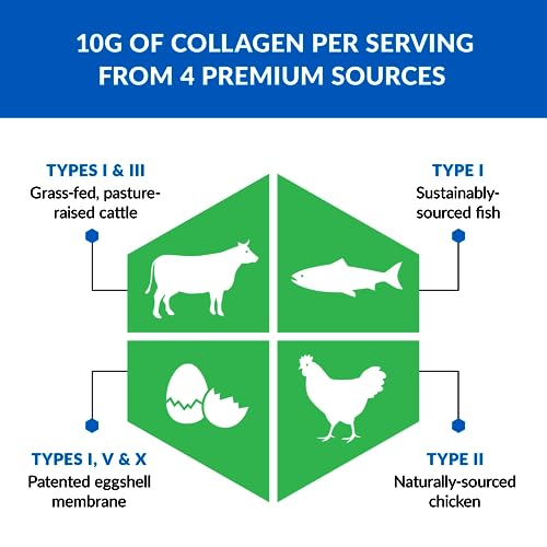 BioTrust Ageless Multi Collagen Protein Powder– 5 Collagen Types (I, II, III, V, X) BioTrust Au supplements