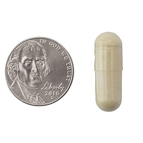 Natrol Carb Intercept with Phase 2 Carb Controller Capsules, White Kidney (Pack of 12) Natrol Au supplements