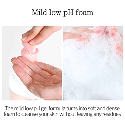 Pyunkang Yul Low pH Feminine Wash with Green Tea, Cica, Moisturizing for Women Vaginal Health Pyunkang Yul Au supplements