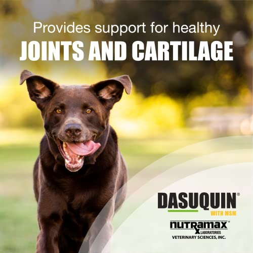 Nutramax Laboratories Dasuquin with MSM Joint Health Supplement for Large Dogs Nutramax Laboratories Au supplements