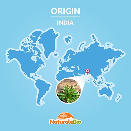 Organic Psyllium Husk - 99% Purity - 200g. Pure & Natural Psyllium Seed Husks NaturaleBio Au supplements