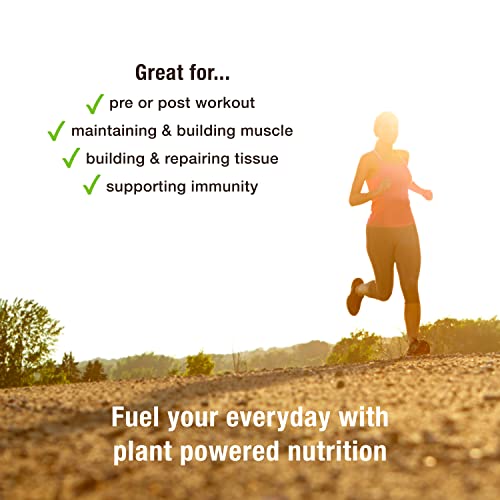 BodyMe Organic Vegan Protein Powder Blend, Naked Natural - Unsweetened, Low Carb BodyMe Au supplements