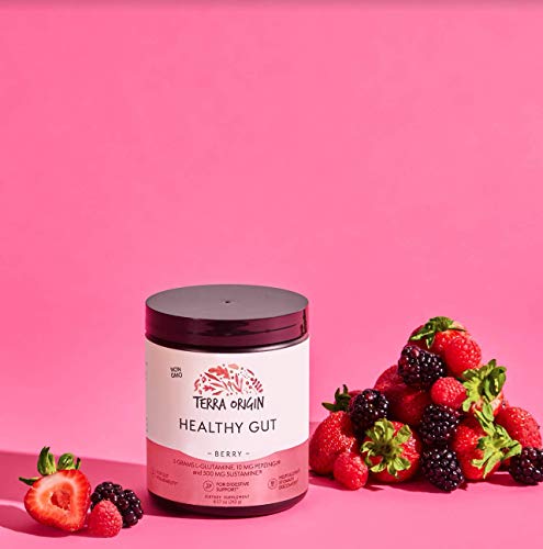 TERRA ORIGIN Healthy Gut Powder (Berry Flavor) |30-Servings with L-Glutamine, Zinc TERRA ORIGIN Au supplements