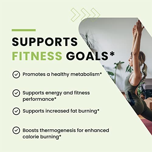 Green Tea Weight Loss Pills with Green Coffee Bean Extract | Belly Fat Burner, Metabolism Nobi Nutrition Au supplements