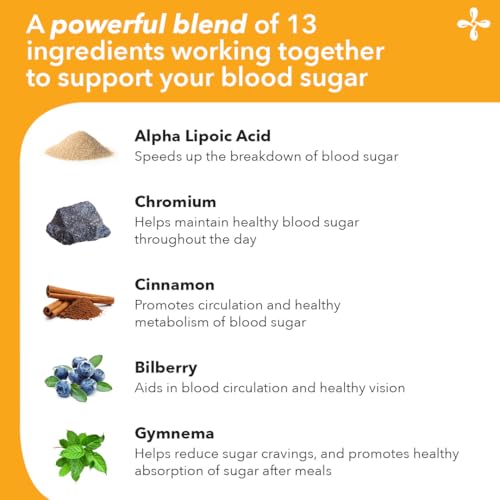 LifeSeasons GS Stabili-T - Blood Sugar Support Supplement - Healthy Circulation & Vision - Maintain Normal Levels - Chromium Cinnamon Gymnema Bilberry & Alpha Lipoic Acid - 90 Capsules LifeSeasons Au supplements