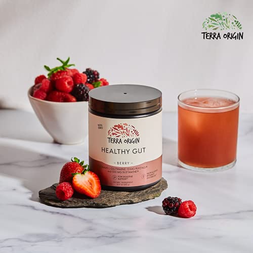 TERRA ORIGIN Healthy Gut Powder (Berry Flavor) |30-Servings with L-Glutamine, Zinc TERRA ORIGIN Au supplements