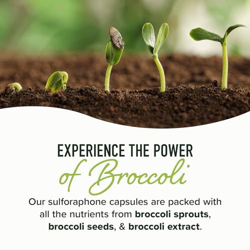 20MG Sulforaphane | From Broccoli Sprouts & Seed Extract | 565MG Microbeadlet SMNutrition Au supplements