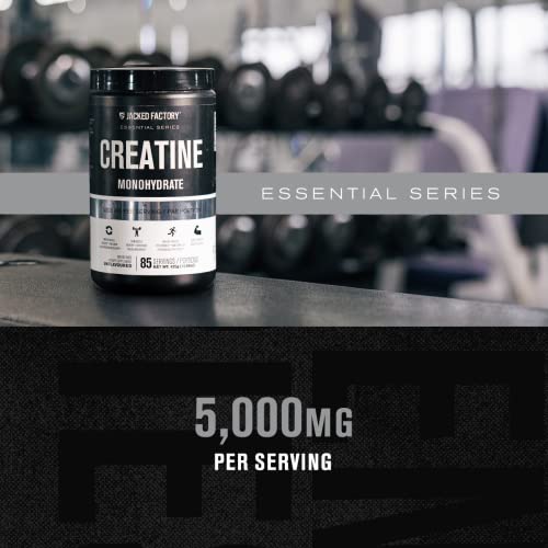 Jacked Factory Creatine Monohydrate Powder 425g - Creatine Supplement for Muscle Jacked Factory Au supplements