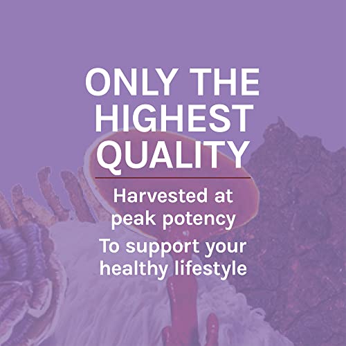 Host Defense, Lion's Mane Capsules, Promotes Mental Clarity, Focus and Memory Host Defense Au supplements