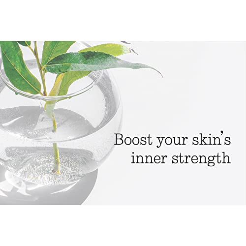 Pyunkang Yul Low pH Feminine Wash with Green Tea, Cica, Moisturizing for Women Vaginal Health Pyunkang Yul Au supplements
