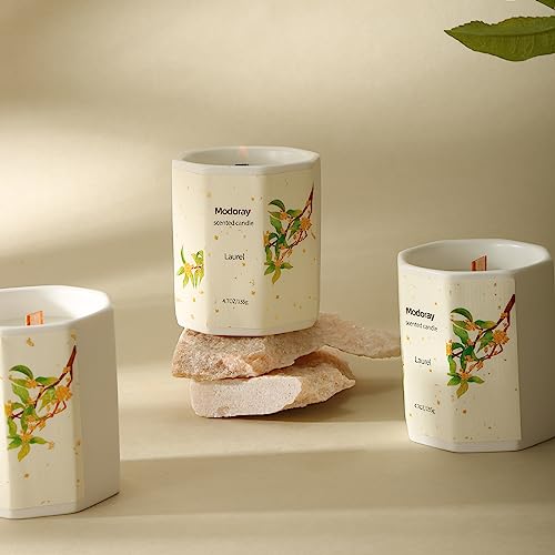 Modoray Scented Candle, Candles for Home Scented, Aromatherapy Candle，Long Lasting Natural Modoray Au supplements