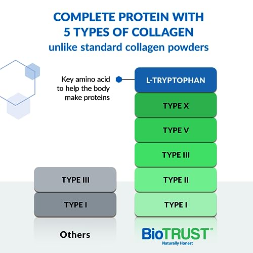 BioTrust Ageless Multi Collagen Peptides Powder – 5 Types (I, II, III, V, X) – Fruit Punch BioTrust Au supplements