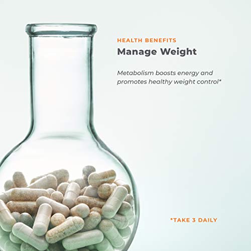 Metabolism - Weight Control Support & Energy Boosting Supplement - Natural Appetite LifeSeasons Au supplements