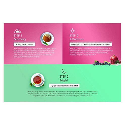 Hyleys Detox Tea for Cleanse and Weight Loss - 28 Day Kit - 84 Tea Bags (9 Pack) HYLEYS Au supplements