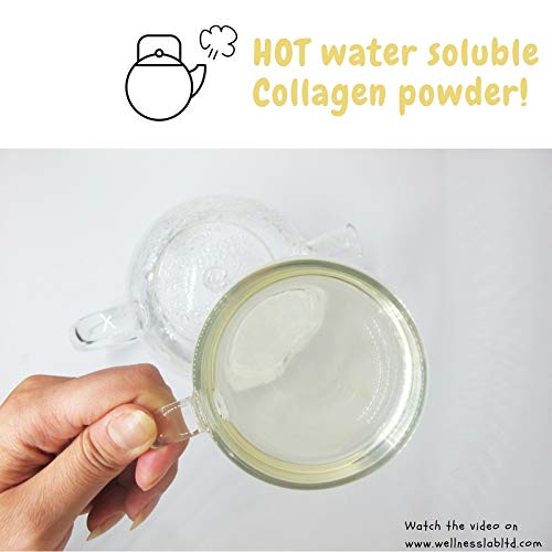 Cleanest Marine Collagen Peptides | Wellness Lab 454g | Type I,III | Highest Bioavailability Hydrolysed Protein Wellness Lab Au supplements