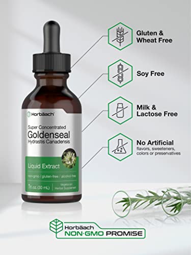 Goldenseal Root Extract Liquid | 1 fl oz Tincture | Super Concentrated | Alcohol Free Horbäach Au supplements