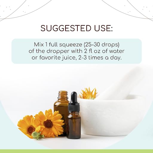 Blue Vervain B120 Alcohol-Free Herbal Extract Tincture, Concentrated Liquid Drops Natural Blue Vervain HerbEra Au supplements