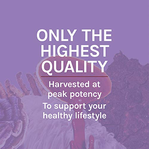 Host Defense, Lion's Mane Capsules, Promotes Mental Clarity, Focus and Memory Host Defense Au supplements