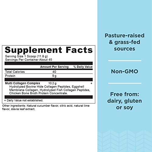 Ancient Nutrition Collagen Powder Protein, Multi Collagen Protein, Cucumber Lime, Hydroly Ancient Nutrition Au supplements