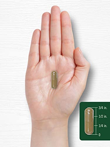 Carlyle Dandelion Root Capsules 1800mg | 300 Count | Non-GMO, Gluten Free Carlyle Au supplements