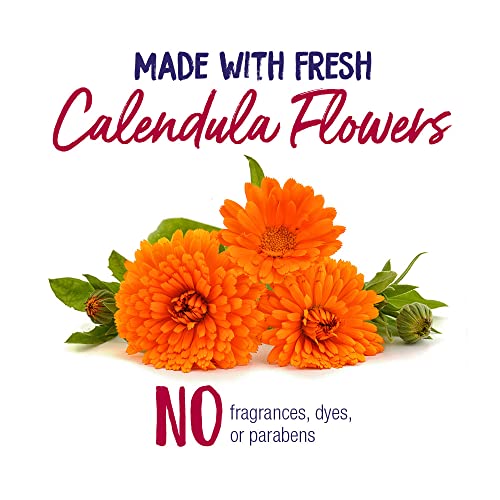Boiron Calendula Cream for First Aid, Minor Burns, Cuts, Scrapes, Insect Bits and Sunburn - 2.5 oz Boiron Au supplements